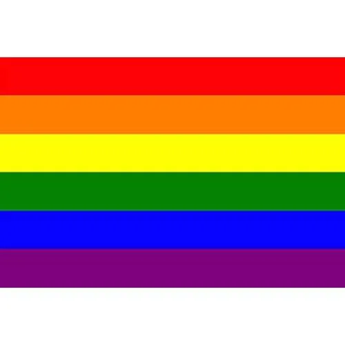 Vibrators Pride and Genderqueer Flags Wicked Wandas Adult Emporium Inc