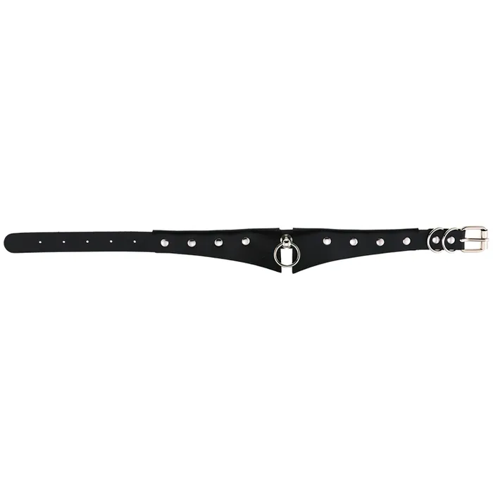 EVEs SECRETS Restraints Colorful Punk PU Leather Choker Necklace Female Halloween Neck Jewelry Accessories